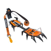 Кошки Climbing Technology LYCAN AUTOMATIC