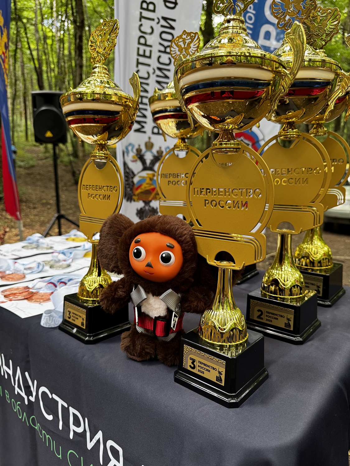 Первенство России по спортивному туризму