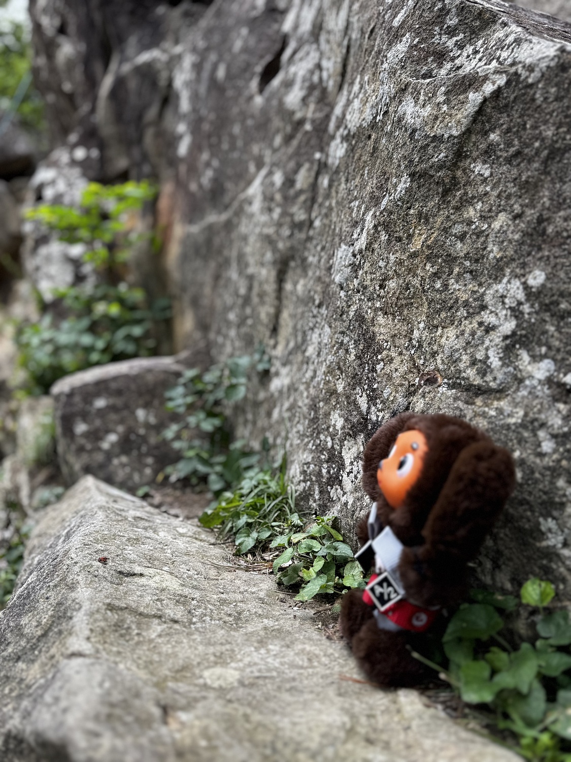 Первенство России по спортивному туризму