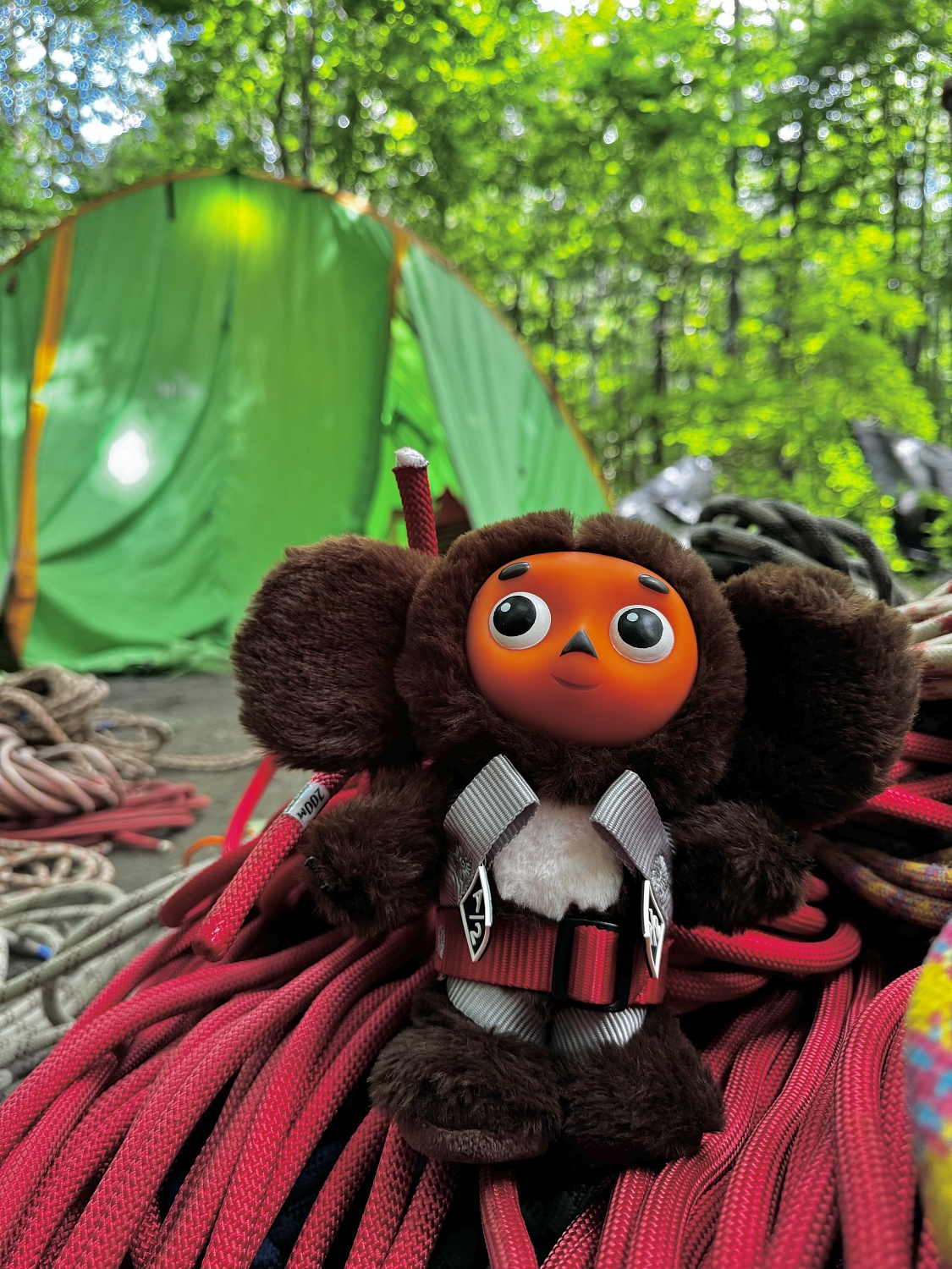 Первенство России по спортивному туризму