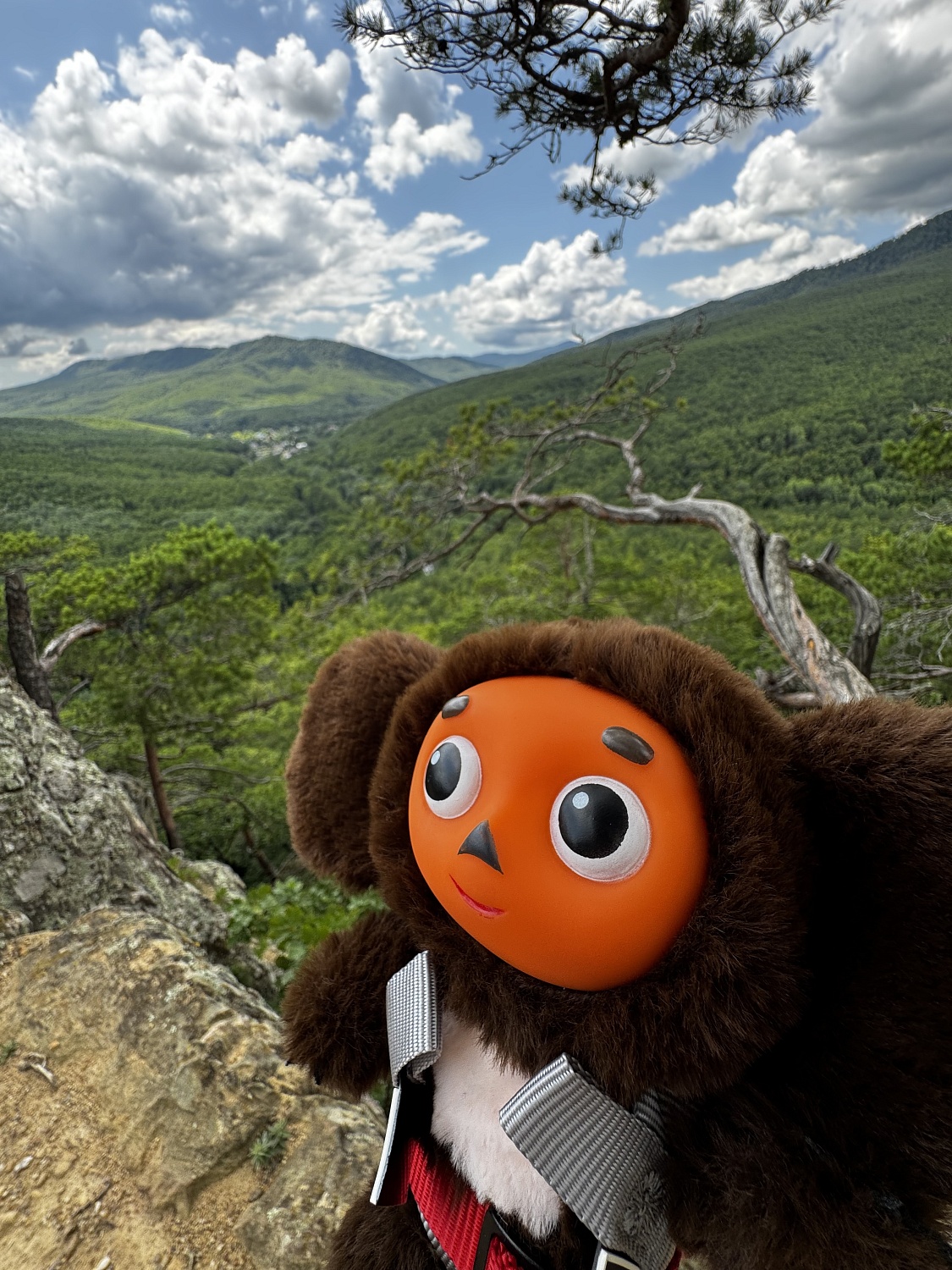 Первенство России по спортивному туризму