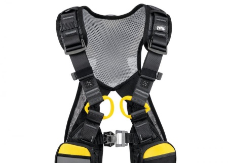 NEWTON EASYFIT: купить в интернет-магазине
